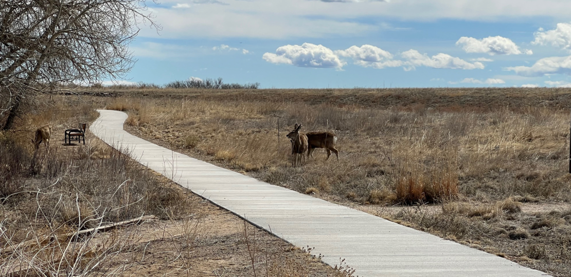 Rocky Mountain arsenal